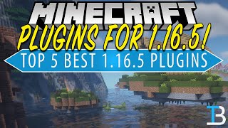 Minecraft Plugins for 1165  Top 5 Best Plugins for Minecraft 1165 [upl. by Haleelahk]