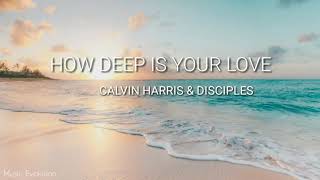 Calvin Harris amp Disciples  How Deep Is Your Love Lyrics [upl. by Atnuahc]