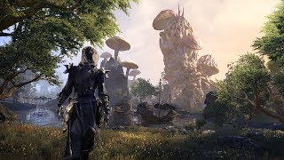 The Elder Scrolls Online  Aldmeri Dominion • All Exploration Music including Summerset [upl. by Drawd770]