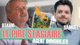 Le Pire Stagiaire  lagent immobilier version longue [upl. by Alicea62]