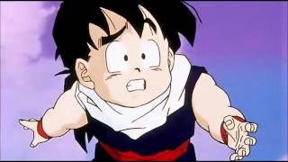 Gohan Vs Chi Chi Full Fight [upl. by Lennox]