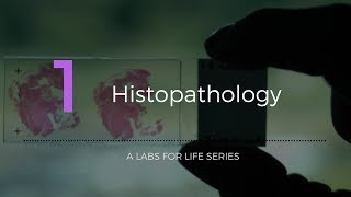 Histopathology [upl. by Booker104]