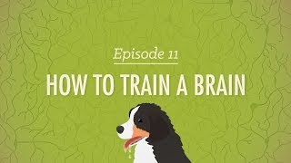 How to Train a Brain Crash Course Psychology 11 [upl. by Netsrek867]