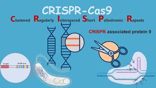 CRISPRCas9  Introduction and discovery [upl. by Annoled58]