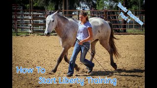 How To Start Liberty Training With Your Horse Basic Exercises Part 1 [upl. by Nylzor]