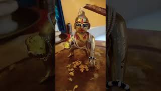 thande thande pani se nahana chahiye laddu gopal summer masti  laddu gopal snanladdugopal status [upl. by Kezer679]