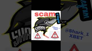 SCRIPT 1XBET HACK Wild West Gold  Scam Scam [upl. by Ardni]