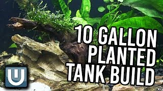 10g Planted Tank Aquarium Build  YOU CAN DO THIS TOO [upl. by Natsud531]