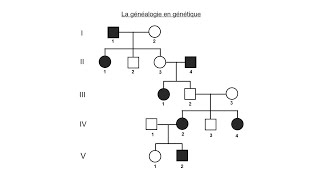 La généalogie en génétique [upl. by Cath]