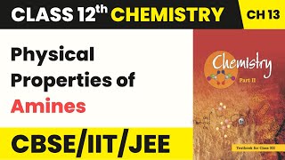 Physical Properties of Amines  Class 12 Chemistry Chapter 13 [upl. by Hortensa]