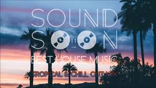 MUSICA DA APERITIVO RELAX 2020 TROPICAL HOUSE 🌴 Dua Lipa Martin Garrix Kygo Sia Style 🌴 Chill Out [upl. by Romy]