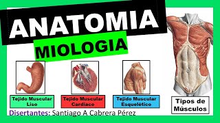 ▌ANATOMÍA ▌MIOLOGIA  Generalidades y Clasificación ▌💀 [upl. by Barnabas844]