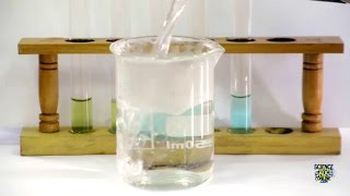 Food Tests  Iodine Biuret Benedicts Ethanol DCPIP [upl. by Kcid]