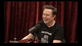 Joe Rogan Experience 2281  Elon Musk [upl. by Shayne]