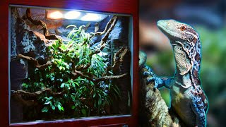 How I made a Huge Reptile Vivarium – Full Build [upl. by Abibah215]