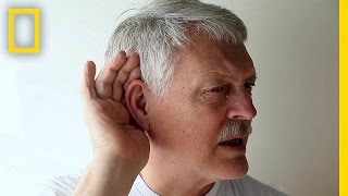 Take the HighFrequency Hearing Test  Brain Games [upl. by Eciram]