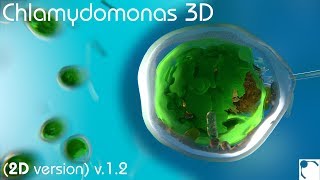 Chlamydomonas 3D  From Biological Cells to Biofuels 2D version 12 [upl. by Kristoforo]