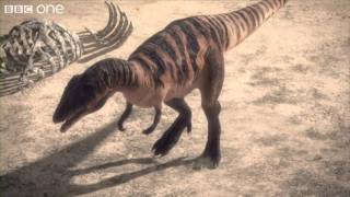 Carcharodontosaurus  Planet Dinosaur  Episode 1  BBC [upl. by Romanas873]