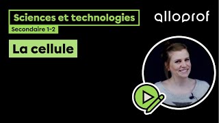 La cellule  Sciences et technologies  Alloprof [upl. by Poler168]