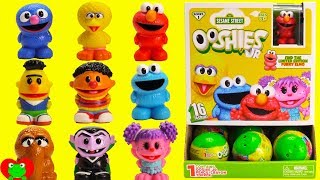 Genie Opens Sesame Street Ooshies Elmo Cookie Monster Big Bird [upl. by Edia899]