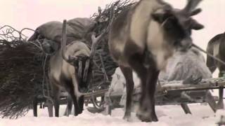 Tribe Nenets S03E02 Bruce Parry BBC [upl. by Owens496]