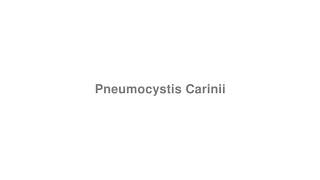 How to Pronounce quotPneumocystis Cariniiquot [upl. by Stelu]