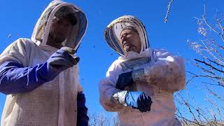 Explosive Killer Bees DIY Dumb AssEpisode 7Beekeeping In Arizona [upl. by Nossila]