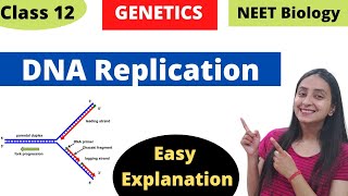 Autosomal Dominant Inheritance in Human Genetics [upl. by Ailecra595]