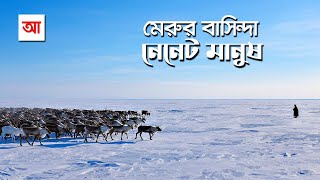 মেরুর বাসিন্দা বিচিত্র যাযাবর নেনেট সম্প্রদায়  আদ্যোপান্ত  The Nenets  Arctic Reindeer Herders [upl. by Jotham]