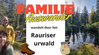 Rauriser urwald [upl. by Hairom]