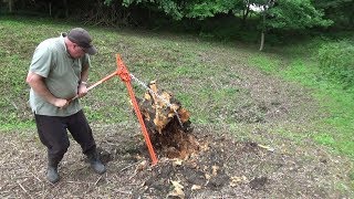 Pulling up a Large Old Stump with a Farm Jack [upl. by Bernadina908]