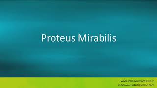 Pronunciation of the words quotProteus Mirabilisquot [upl. by Phaedra958]