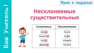 Несклоняемые имена существительные Как определить несклоняемое существительное [upl. by Accemahs776]