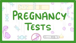 GCSE Biology  How do Pregnancy Tests Work 41 [upl. by Ingunna871]