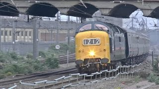 Deltic D9009 THUNDERS along the East Coast Mainline on 1Z11 amp 1Z13 060517 [upl. by Yanahs527]