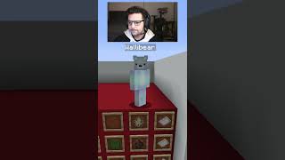 WALLIBEAR TAKES ON MOB ARENA gaming ⁠youtube funny minecraft memes tiktok shorts ytshorts [upl. by Yemerej]