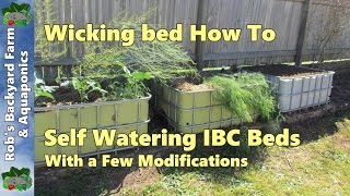 Self watering Wicking bed IBC beds with a few modifications [upl. by Xer614]