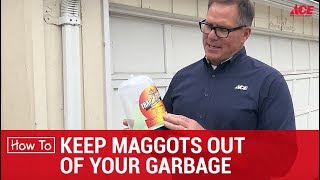 How To Keep Maggots Out Of Garbage Cans  Ace Hardware [upl. by Aeki255]