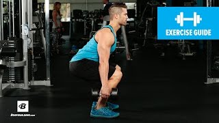 How to Dumbbell Squat  Mike Hildebrandt [upl. by Yenalem]