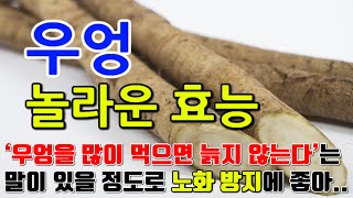 우엉의 놀라운 효능 8가지 amp 부작용  quot우엉으로 감기 예방 강력한 면역력 향상의 비결quot [upl. by Earissed340]