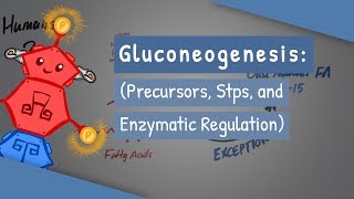 Gluconeogenesis [upl. by Ati]