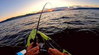 Kayak Fishing in NZ [upl. by Peterson]