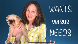 Wants Versus Needs Lesson for Kids [upl. by Yedoc]