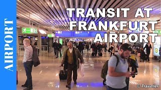 TRANSIT WALK AT FRANKFURT Airport FRA Terminal 1  Connection Flight Transfer Arriving amp Departing [upl. by Spence]