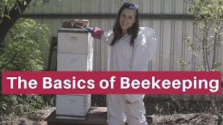 Beekeeping for beginners The absolute basics [upl. by Hen856]