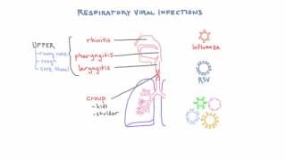 Pulmonary embolism The route to recovery [upl. by Alyehc]