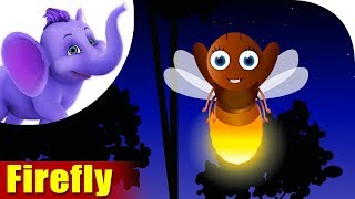 FireFly  A Bug Song  4K  Appu Series [upl. by Kassia]