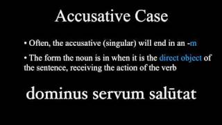 The Nominative and Accusative Cases [upl. by Anirt954]