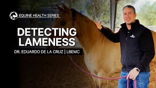 Detecting Lameness in Your Horse [upl. by Ardnaz]