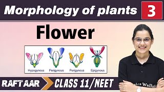 Morphology in Plants 03  Flower  Class 11NEET  RAFTAAR [upl. by Chelsea940]